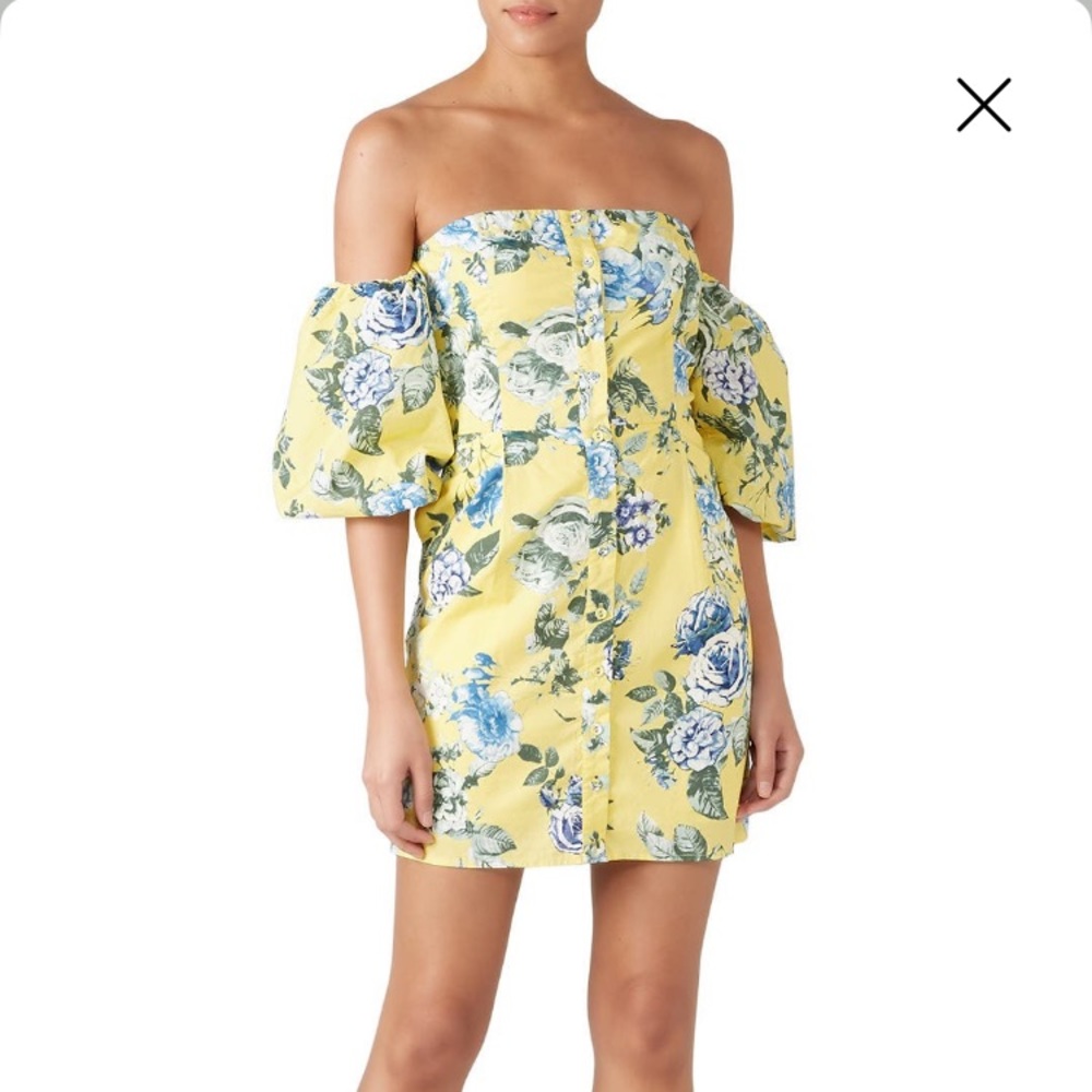 Balloon Sleeve Strapless Mini Dress